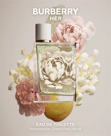 burberry her edt 2022|burberry her fraiche.